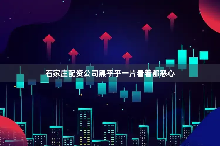 石家庄配资公司黑乎乎一片看着都恶心
